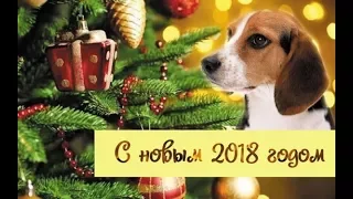 Новогоднее обращение президента России Владимира Путина 2018 31 12 2017 1