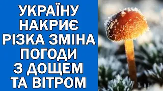 ПОГОДА НА ЗАВТРА : ПОГОДА 14 СІЧНЯ