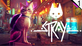 Новая игра в духе киберпанк - Stray - №1 (каждый лайк = плюс к карме)