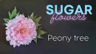 Gumpaste Peony tutorial // How to make a tree peony from sugar paste for cake decorating #3