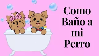 Como Baño a mi Perro en Casa - Tips by Natalia Ospina