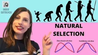 GENETIC DIVERSITY & NATURAL SELECTION:A-LEVEL.Help understanding directional & stabilising selection
