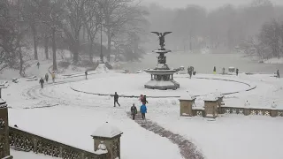Central Park is a Winter Wonderland
