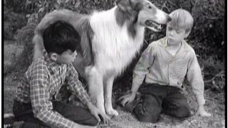 Lassie - Episode #198 - "Alias Jack and Joe" - Season 6 Ep. 16 - 12/27/1959