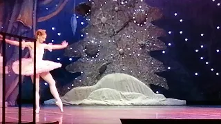 Наталья Клеймёнова и Дмитрий Петров, Щелкунчик, Самара, театр оперы и балета, 28 декабря 2020