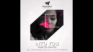 Martin Mayer - Into You (Elias PLM Remix)