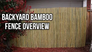 Backyard Bamboo Fencing – Easy Way For More Backyard Privacy?