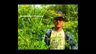 Riparian Restoration Using Chemical free Invasive Plant Control   12 9 15