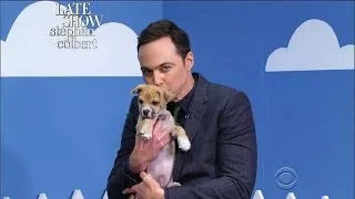 The Late Show 'Rescue Dog Rescue' With Jim Parsons