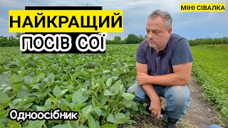 Ставка на сою! Українська сівалка Nicolas Mavako проти Amazone та СЗ