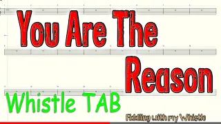 You Are The Reason - Calum Scott - Tin Whistle  - Play Along Tab Tutorial