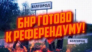 😱КОРДОН прорвали! Скабеева ЕДВА выговорила новости с Белгорода! ВСУ окружат ВСЮ российскую армию?