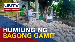 Zaragoza LGU sa N. Ecija, nanawagan ng squash processing equipment sa nat'l gov't