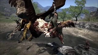 Dragon's Dogma Extended OST - Imminent Triumph