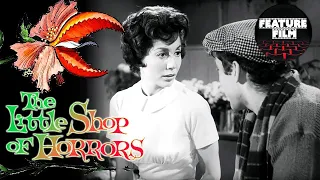 Little Shop of Horrors (1960) - Classic Horror Comedy Movie | Sci-Fi Horror | Comedy Cult Classic