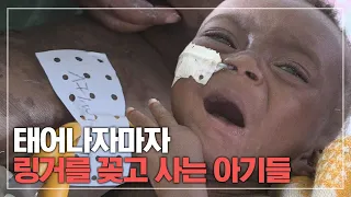 난산으로 엄마는 죽고 태어나자마자 링거를 꽂고 엄마손이 아닌 링거줄에 의지해 살아가는 아기들