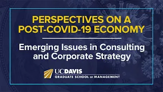 Perspectives on a Post-COVID-19 Economy: Emerging Issues in Consulting and Corporate Strategy