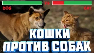 Выпуск 1 "Кошки против Собак"