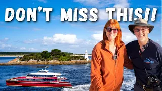 A MUST-DO on Tasmania's West Coast - Gordon River Cruise, Strahan