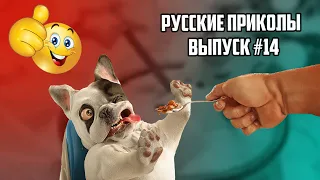 Лучшие русские приколы | новые приколы май 2021 | попробуй не засмеяться