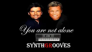 SynthGrooves-You are not alone-Cover