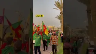 Cameroon Fans in  World Cup 2022