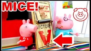 OUCH!! MOUSE TRAP ADVENTURE! Daddy Pig Teaches Peppa Pig and George Pig about MOUSE TRAPS!