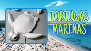 Como hacer Tortugas Marinas de Cartón y Papel Mache/How to make cardboard sea turtles