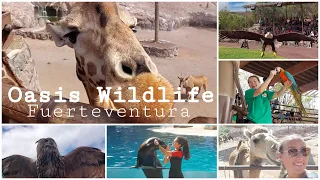 Visiting Oasis Wildlife Zoo | Fuerteventura | ENG | DewiDenice