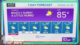 10 Weather: Tampa Bay-area afternoon forecast | Nov. 9, 2023