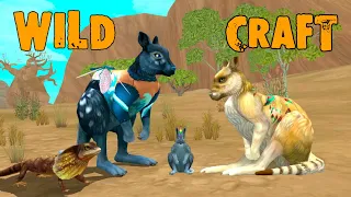 А у нас родился кенгуренок 🌺 WildCraft