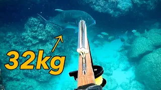 【魚突き】ロウニンアジ 32Kg