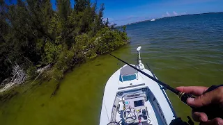 EPIC Day Saltwater Flats Fishing
