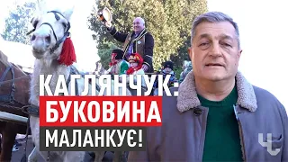 МАЛАНКА У ВАШКІВЦЯХ зібрала учасників з різних куточків України і світу | Блог Каглянчука