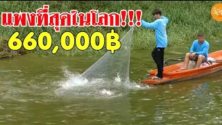 หว่านแหครั้งประวัติศาสตร์ บัตรแพงที่สุดในโลก เหมาบ่อปลาปึ่งเทโพ 660,000บาท แหปากละ 44,000 EP.1