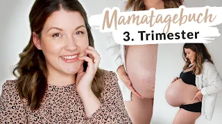 3. Trimester mit Zwillingen: Ängste, Gewicht, Ernährung, Symptome & Tipps #MamaTagebuch