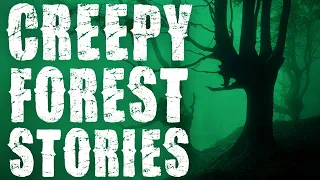 7 TRUE Ghost Stories From The Forest | SUBSCRIBER PICKS | RAIN SOUNDS