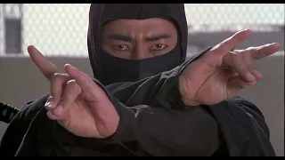 Sho Kosugi vs Silver Ninja (Recut)