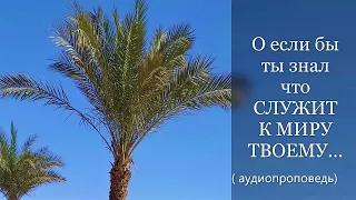 О если бы знал что СЛУЖИТ К МИРУ ТВОЕМУ ...