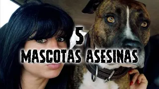 5 Personas que Murieron en Manos de sus Propias Mascotas