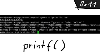 A simple Format String exploit example - bin 0x11