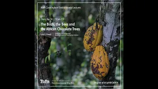 The Birds, the Bees and the African Chocolate Trees