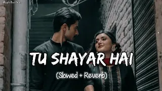 🎧Slowed and Reverb Songs | Tu Shayar Hai Main Teri Shayari | RAJIB 801