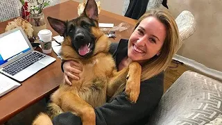 When your dog is your soulmate ❤️️ Cute Dog And Human Moments