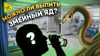 Можно ли выпить змеиный яд? | DeeaFilm