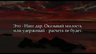 Ясир Зайлаи | Прекрасное чтение суры «Сад»