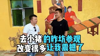 小猪小丰的作坊精致，华宝喜提旺财回家，重礼相送，