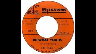 Flys - Be What You Is