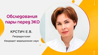 Обследования пары перед ЭКО