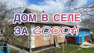 ДОМ В СЕЛЕ ЗА 6000$! 60 СОТОК ЗЕМЛИ! УКРАИНА